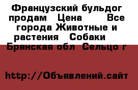 Французский бульдог продам › Цена ­ 1 - Все города Животные и растения » Собаки   . Брянская обл.,Сельцо г.